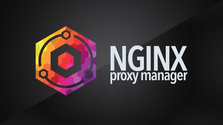 How to manage your domain with self hosted Nginx Proxy Manager